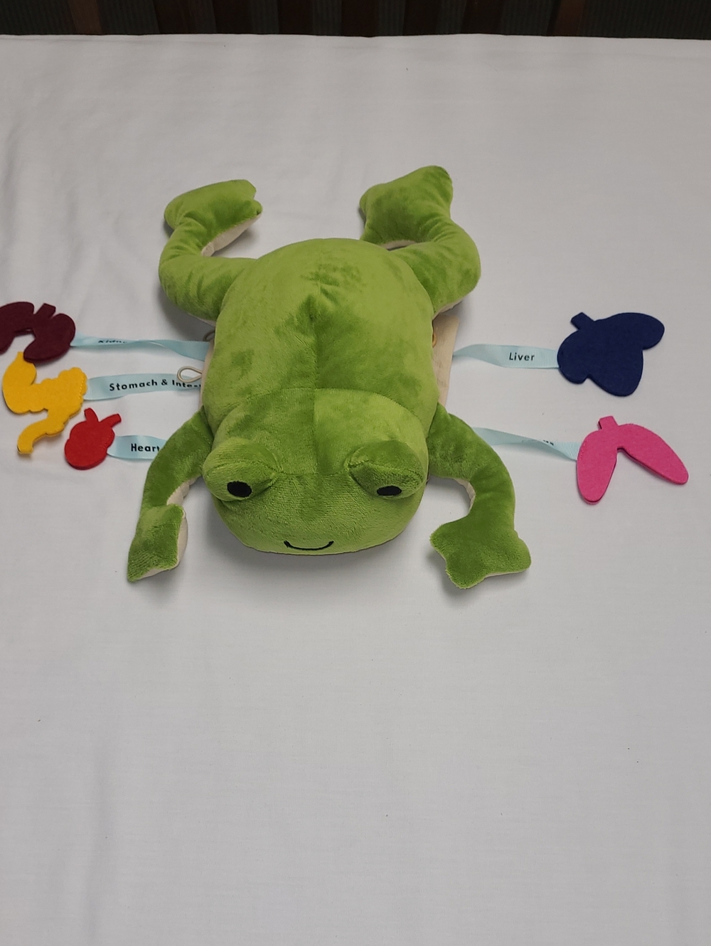 KiwiCo Plush Green Froggie Dissection Lab Soft STEM learning, interactive, learn